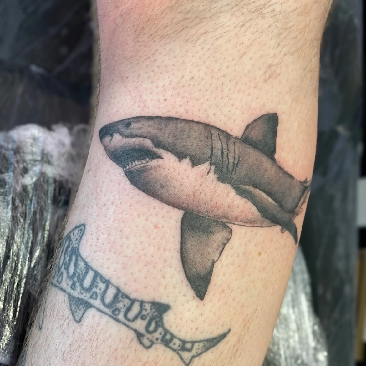Portfolio piece by Ebony