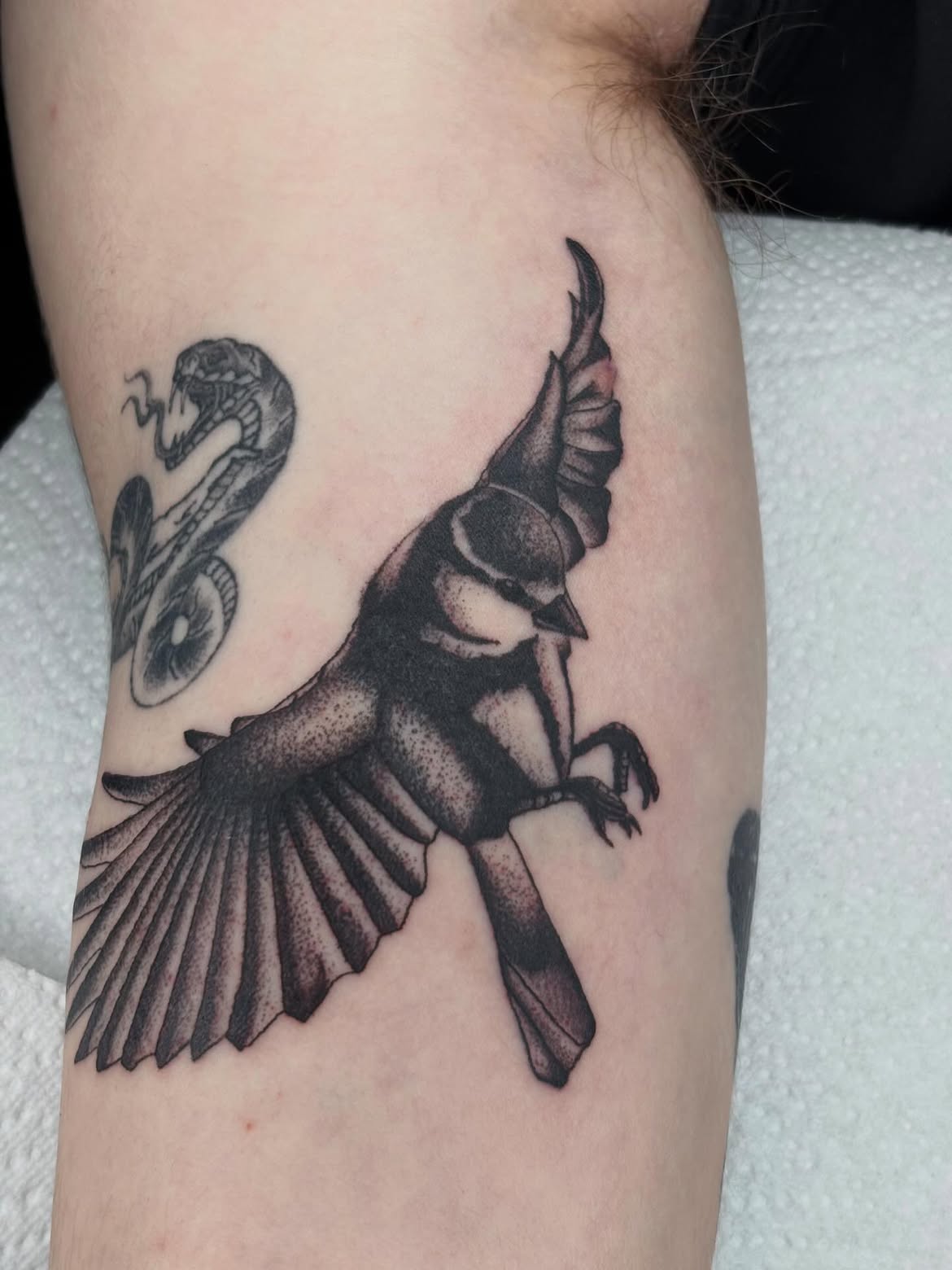 Tattoo by Ben Moore