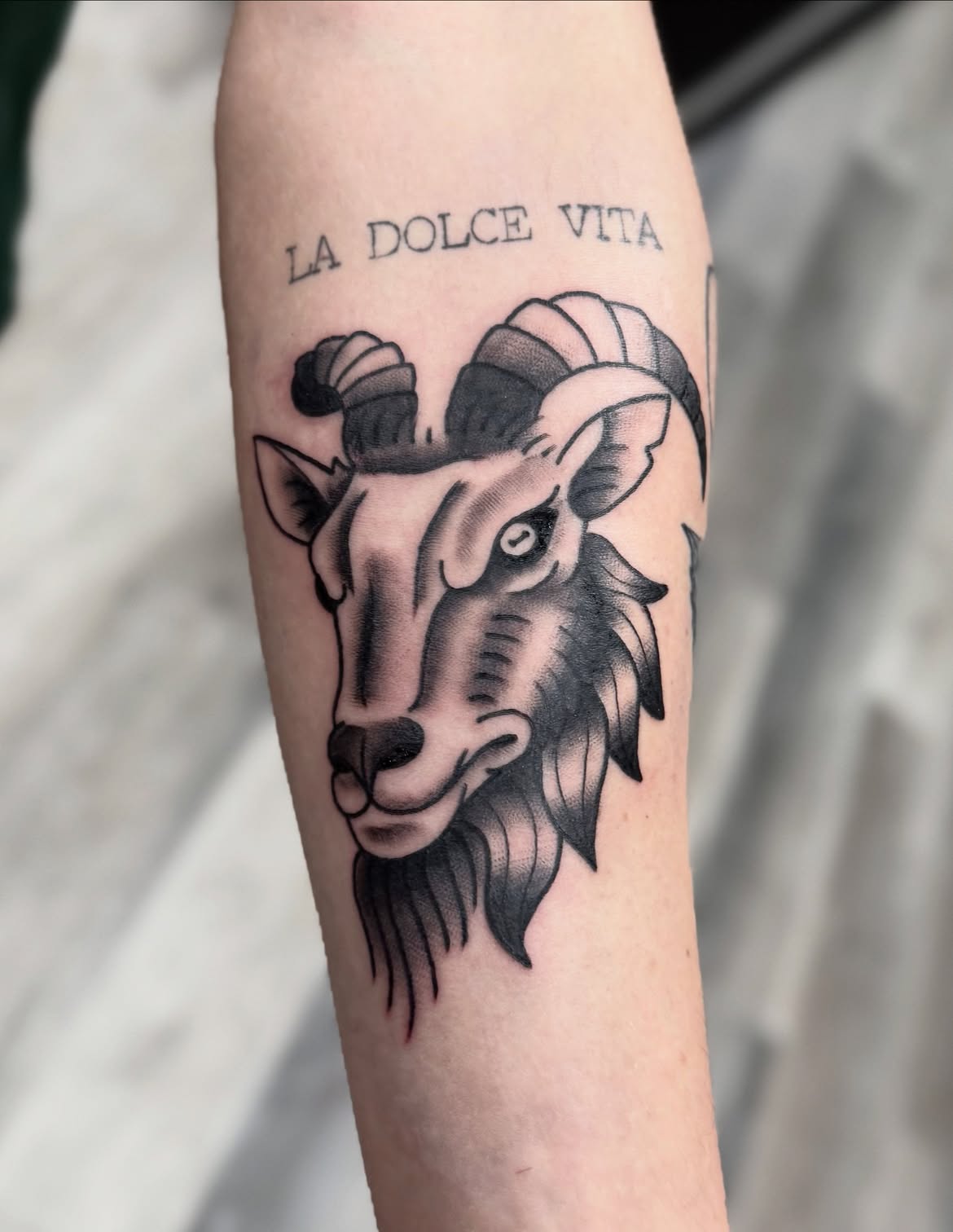 Tattoo by Ellie Snook